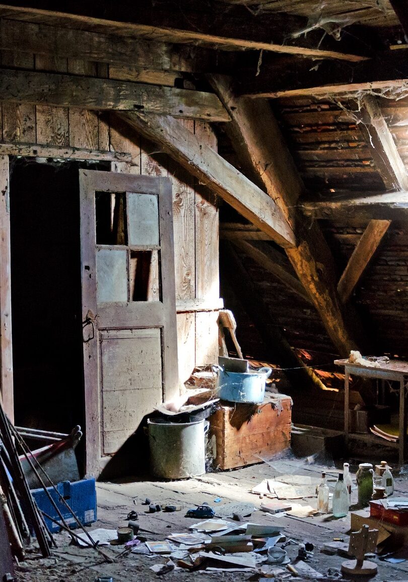 WhatsApp Image 2024-10-07 at 13.44.47_f7e7969d